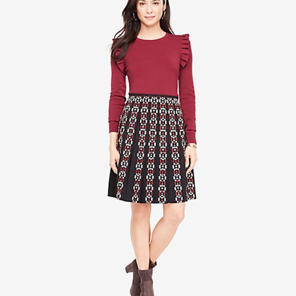 NWT  Ann Taylor Embroidered‎ Pleated Skirt